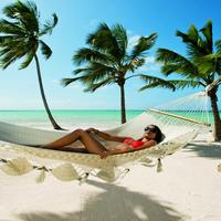 Отзыв от Вероника - DTV виза